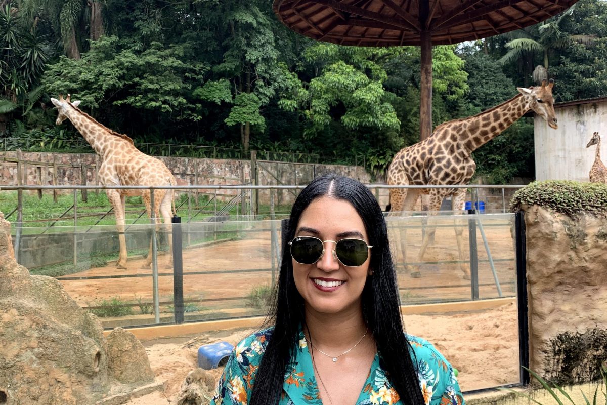 Parque Zoológico de São Paulo: preço do ingresso, horários e animais