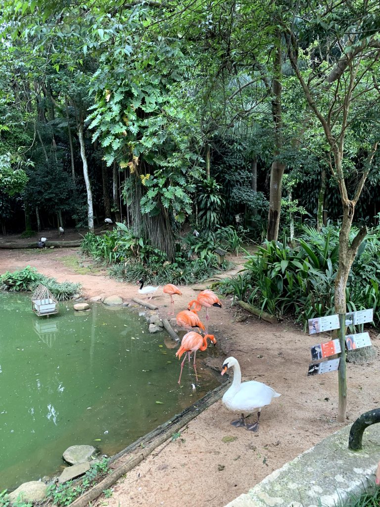 Parque Zoológico de São Paulo