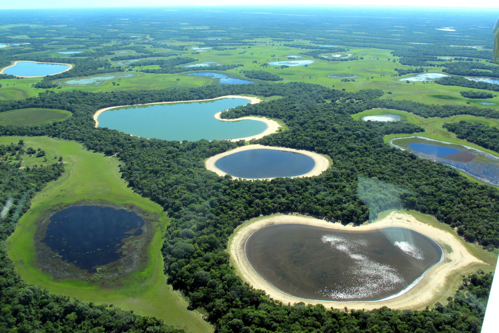 Viagem para o Pantanal: guia completo!